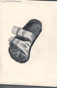 Lil Shoe Study